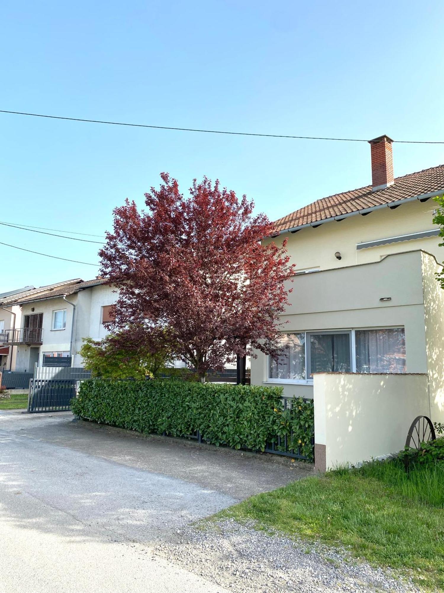 Apartman Lucija Gradici Zewnętrze zdjęcie